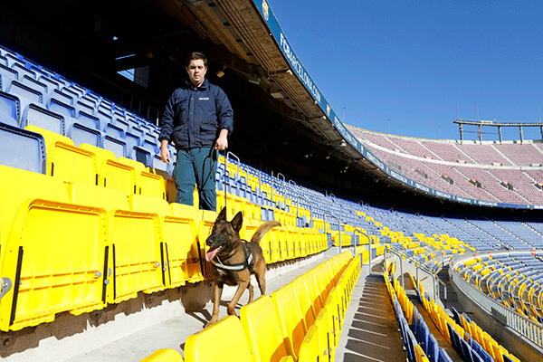 Postgrau en Instrucció d'Unitats Canines de Treball