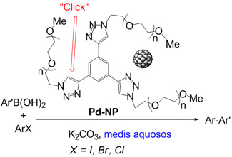 Nanopartícules de platí solubles