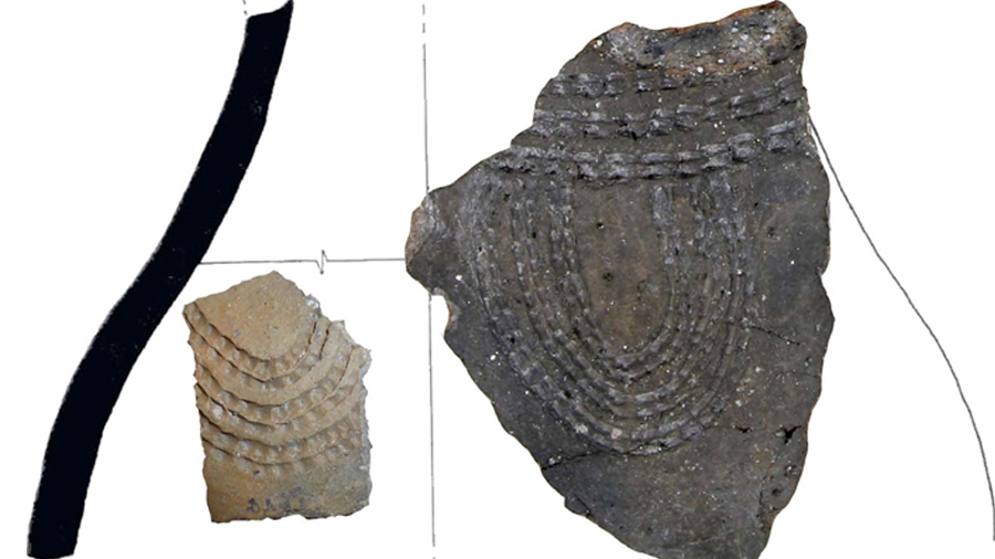Restes de ceràmiques analitzades en l'estudi sobre lactis i Pirineus. R. Laborda